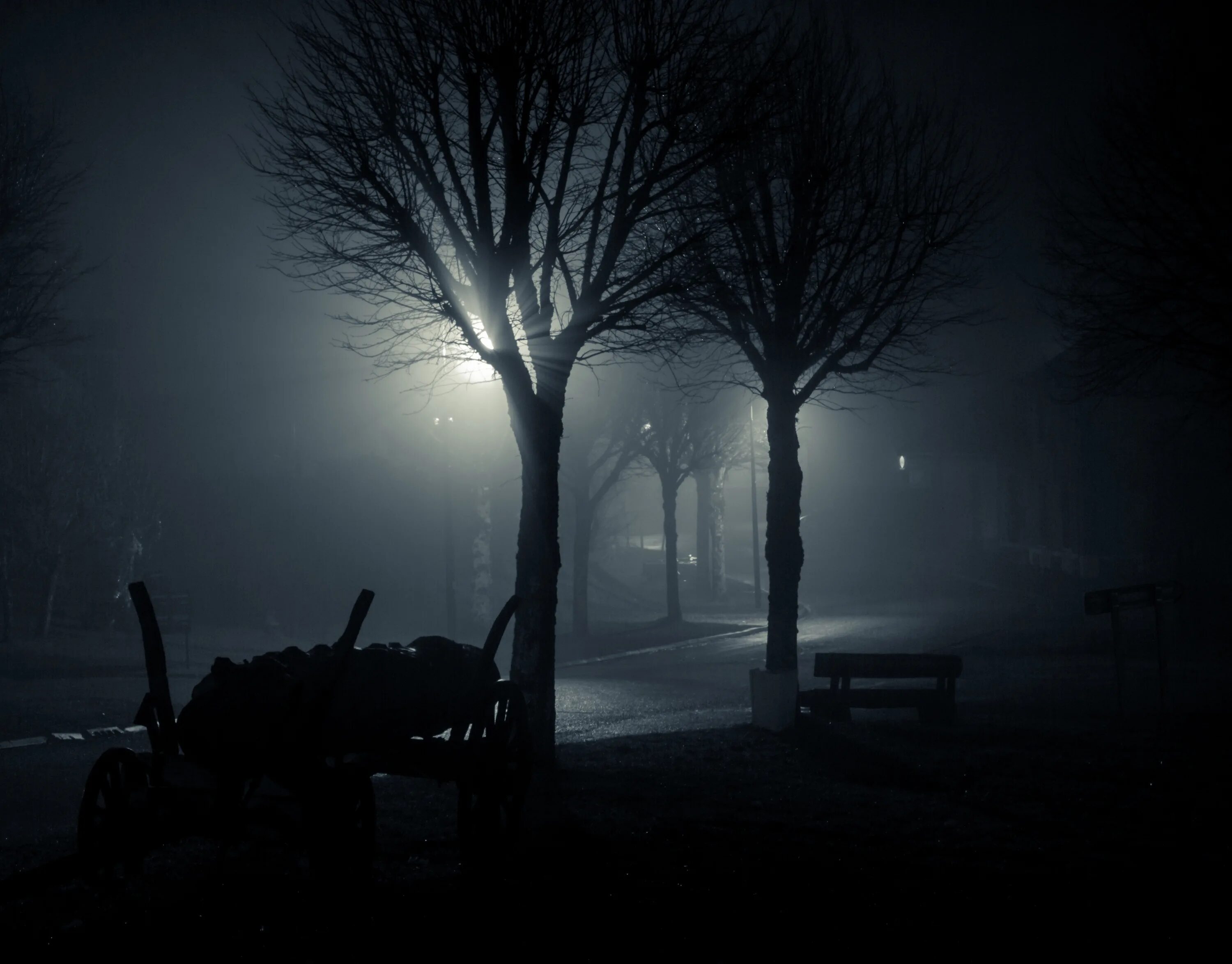 Туманная ночь. «Ночь в лесу». Дом в ночи и в тумане. Ночная мгла.