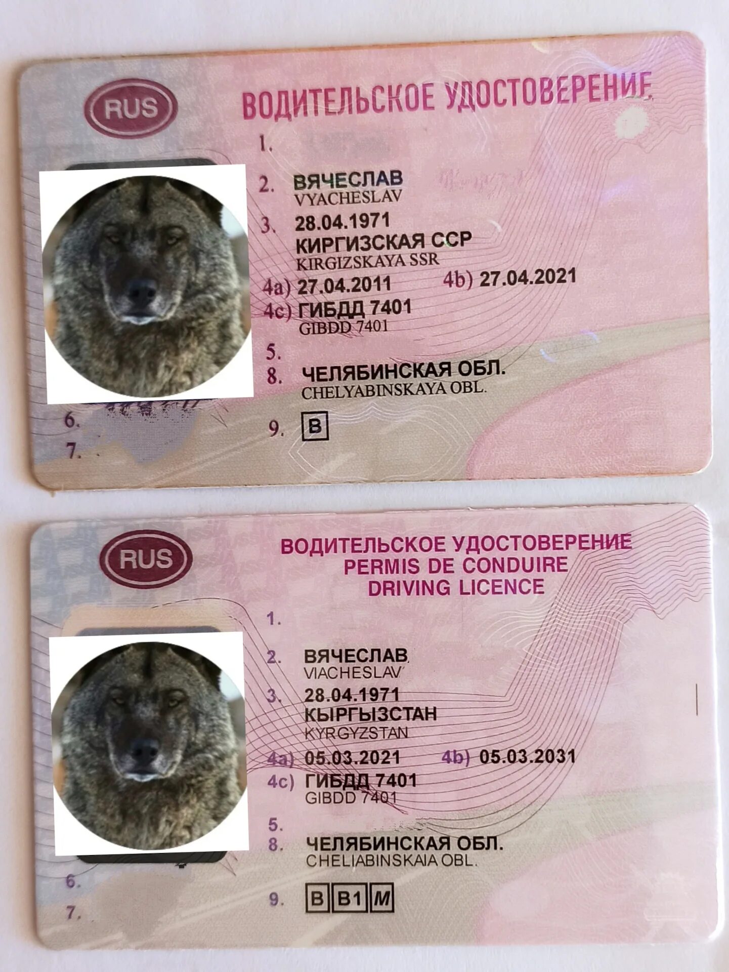 Замена водительского удостоверения. Замена водительского 2021. Замена водительского удостоверения для Луганской области-. Сколько стоит замена водительского удостоверения в 2024