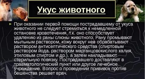 Таблетки после укуса собаки