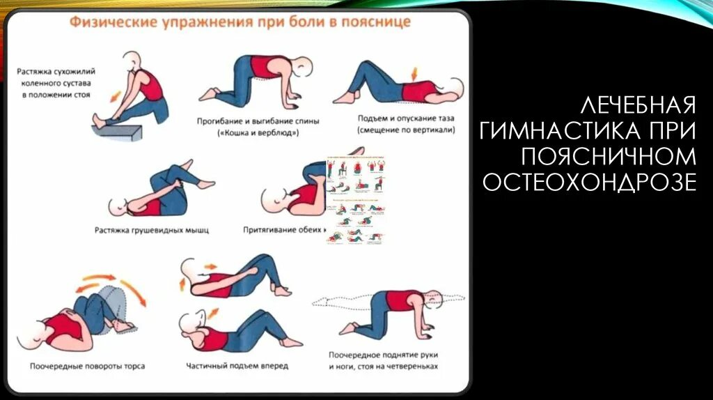 Упражнения при стенозе. Гимнастика для спины при остеохондрозе грудного и поясничного отдела. Гимнастика для поясницы при остеохондрозе поясничного. При остеохондрозе позвоночника лечебная физкультура направлена. Упражнения при остеохондрозе поясничного отдела позвоночника.