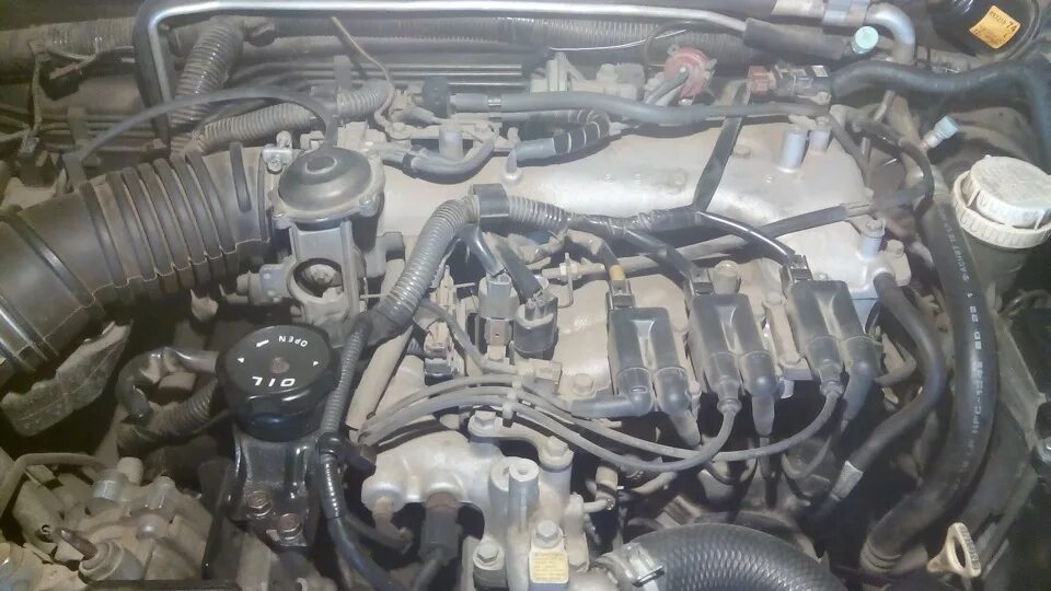 Монтеро спорт ошибка. Mitsubishi pajero sport 3.0 (6g72. митсубиси монтеро спорт ошибкаp0306. 6g72 delica клапан egr. трубка egr mitsubishi pajero sport (k9) 6g72.