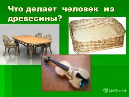 Что люди могут сделать из древесины