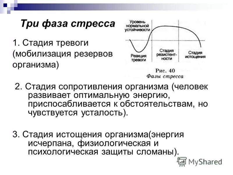 Фаза тревоги. Стадии стресса. Три фазы стресса. 3 Стадии стресса. Стадия сопротивления стресса.