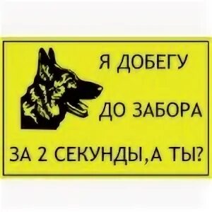 Табличка "злая собака". Табличка с надписью осторожно злая собака. Табличка на калитку злая собака. Таблички на калитку про собак.