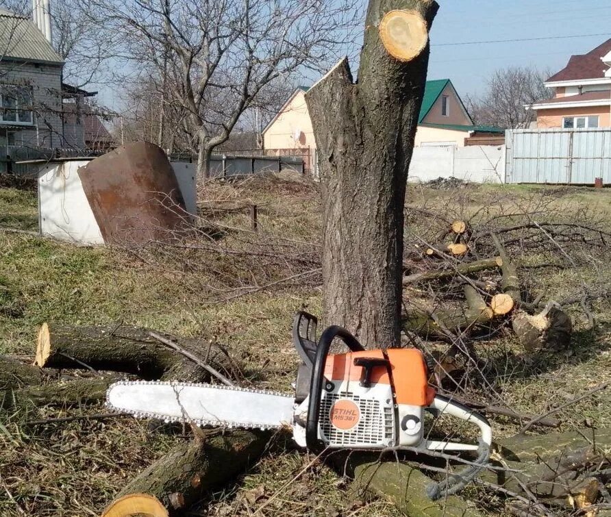 Удаление деревьев на участке цена. Спил деревьев на участке. Спиленные деревья на участке. Спил деревьев и кустарников на участке. Опил деревьев.