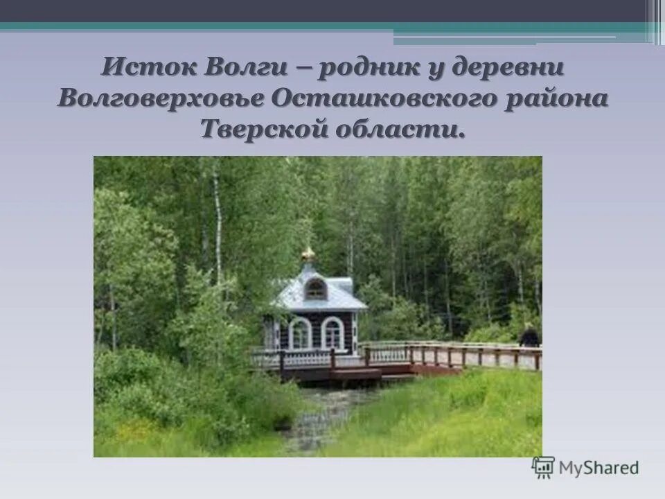 Исток волги окружающий мир 4 класс. Исток волги родник. Откуда берет начало река волга исток реки волги. Река волга ее исток. Откуда берет начало река волга исток реки волги.