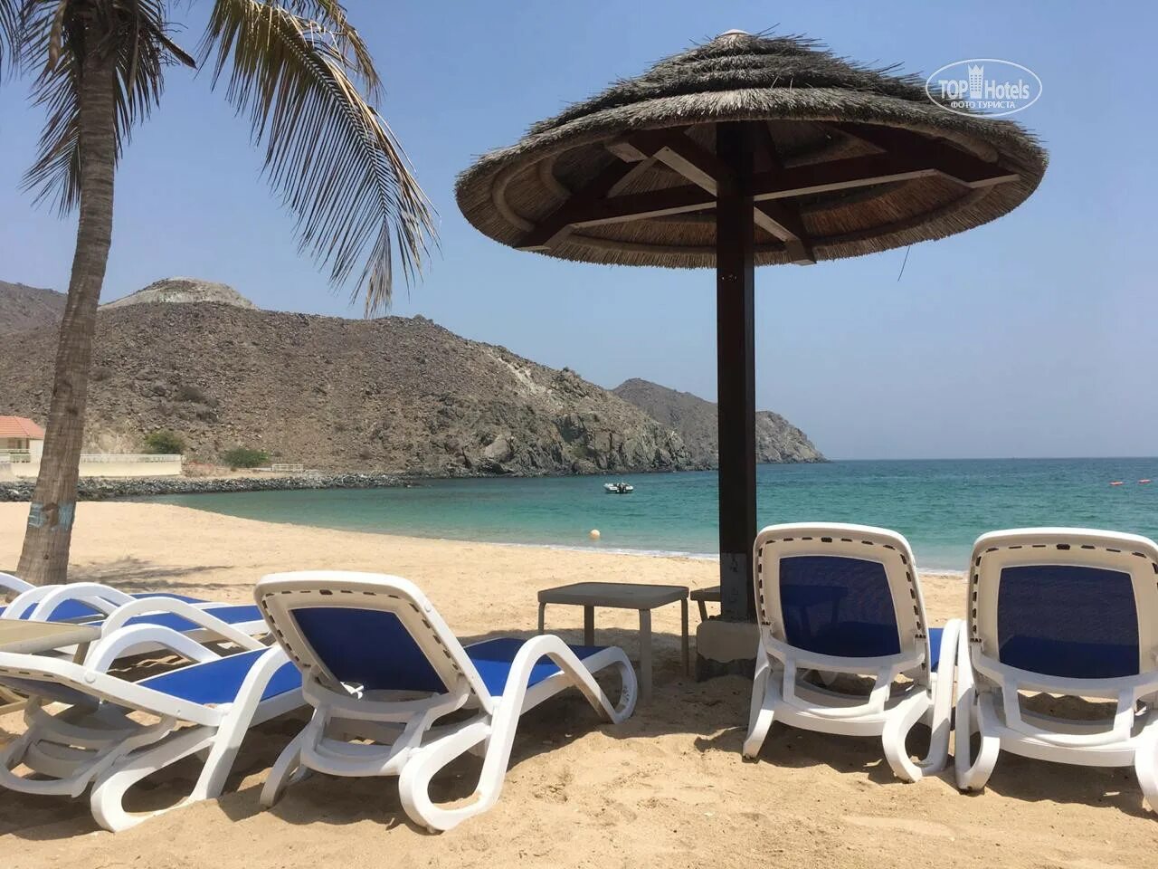 Oceanic khorfakkan resort оаэ фуджейра. Отель океаник фуджейра. океаник корфаккан резорт фуджейра. отель oceanic фуджейра оаэ. oceanic khorfakkan resort 4.