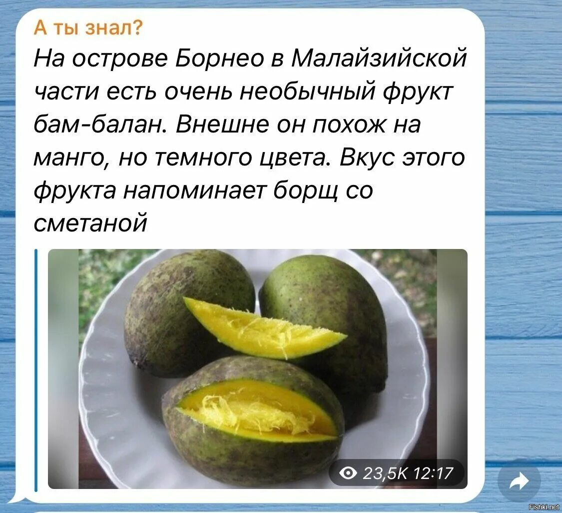 Бам балан фрукт который по вкусу напоминает. БАМ-Балан фрукт. БАМ-Балан фрукт вкус. Фрукт со вкусом борща со сметаной. Экзотический фрукт со вкусом борща.