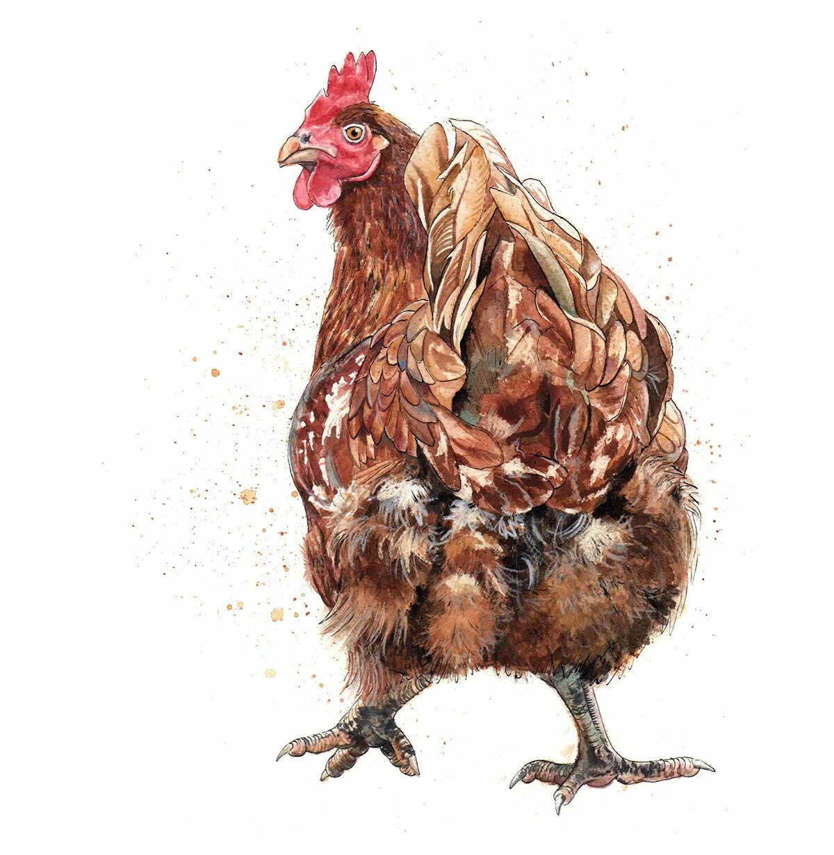 Chicken art