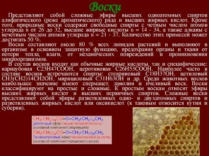 Воск строение
