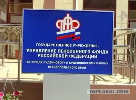 Детский сад и пенсионный фонд