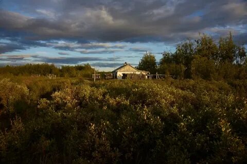 Погода село березово