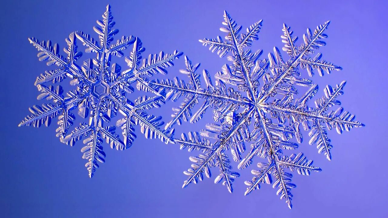 Snowflake 1