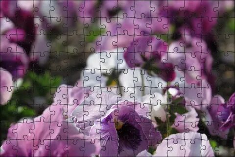Perfect flower
