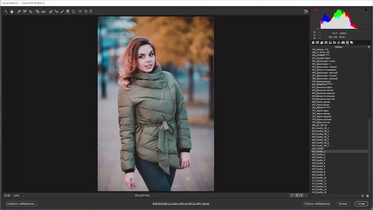 Сохранить в raw. 87 пресетов для adobe camera raw. программа raw для обработки фотографий. приложение камера рав для обработки фото. camera raw от евгения карташова.