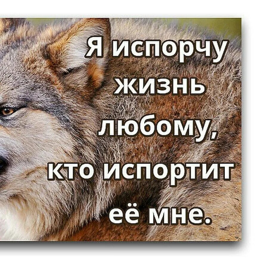 И портить жизнь тем не. Испорчу жизнь любому кто испортит ее мне. я испорчу жизнь любому. плевала я на ваши принципы тронете моё уничтожу всё ваше. когда нашел того кто портит тебе жизнь.