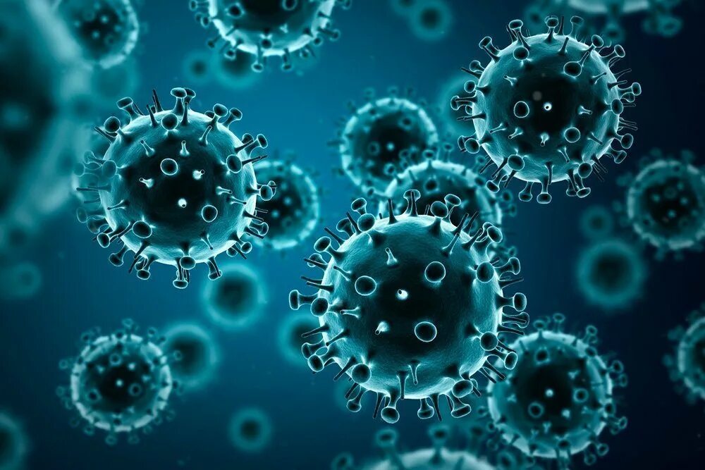 Flu virus