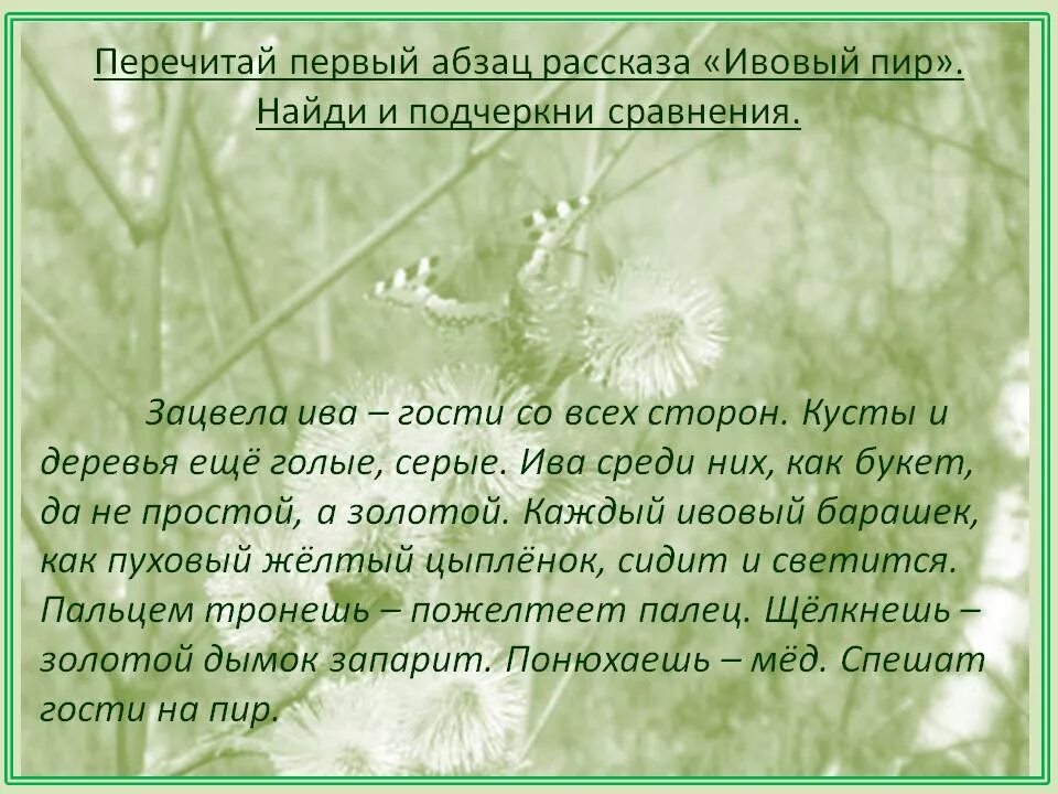 Щелкнешь золотой дымок запарит. Рассказ ивовый пир. Ивовый пир Сладков читать. Ивовый пир Сладков текст.