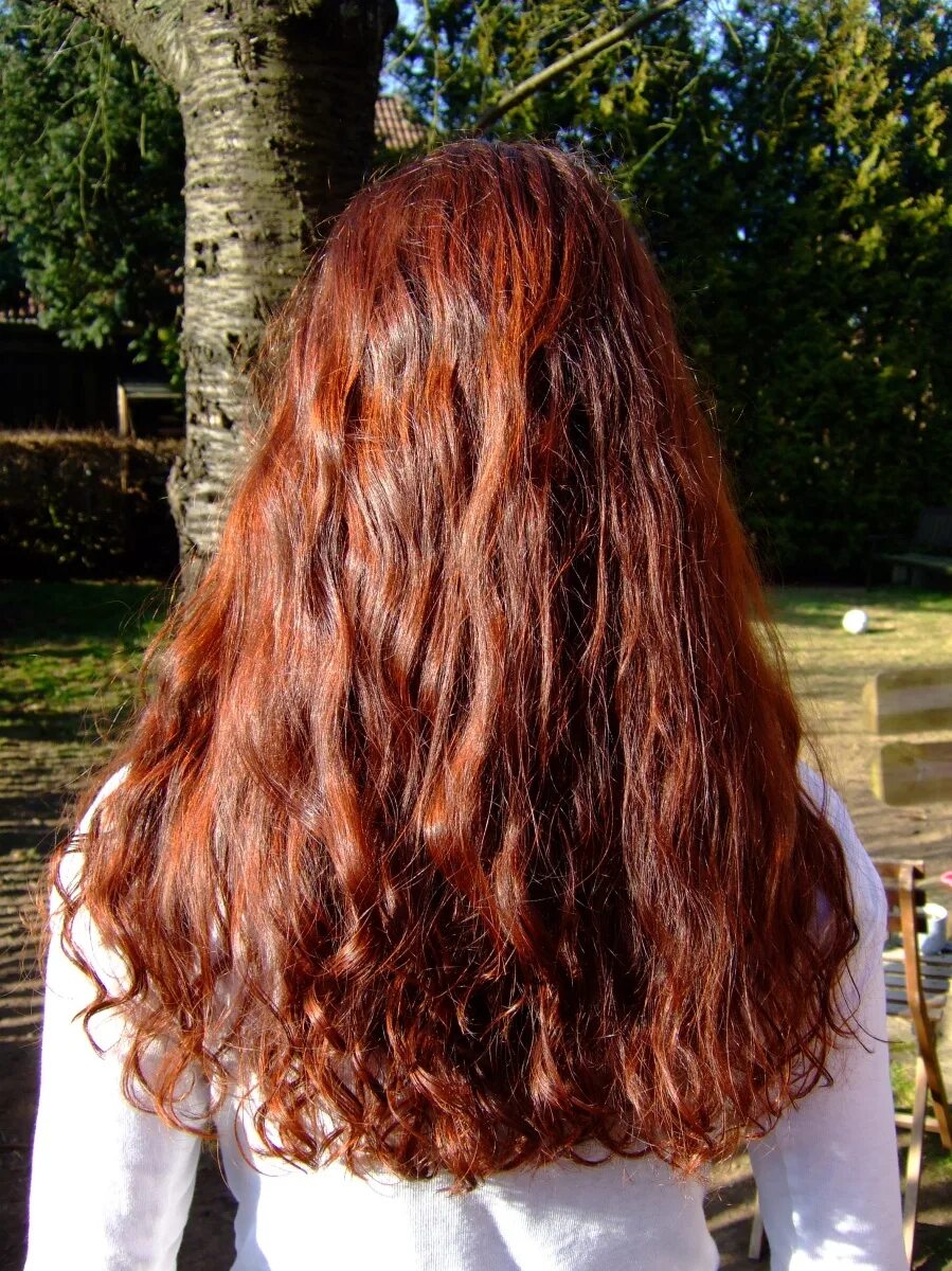 Maugenated: Cheveux Henné cheveux, Couleur henné, Cheveux