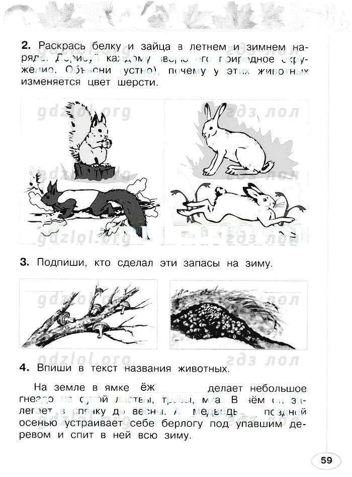 кто сделал эти запасы на зиму. кто из зверей делает запасы. кто сделал эти запасы на зиму. кто сделал эти запасы на зиму. кто сделал эти запасы на зиму.