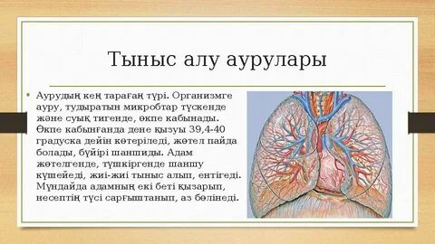 Топтық сексте екі кішкентай шлюха Палома мен Клара