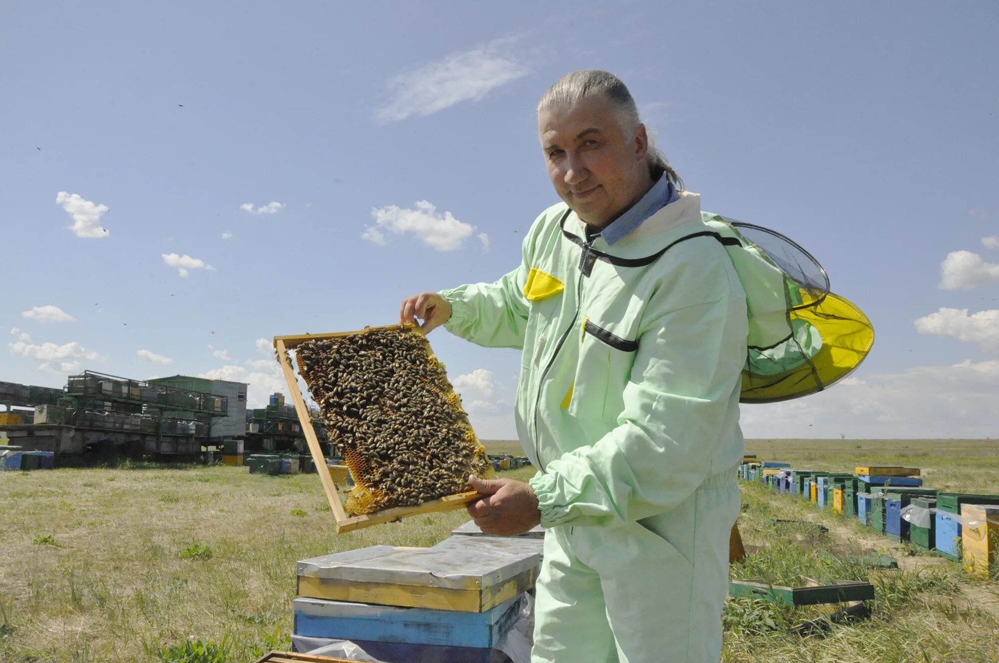 Добрая пчела. Добрые пчёлы Рязанская область. Фермерское хозяйство Пчеловодство. Купить пчел в рязанской области