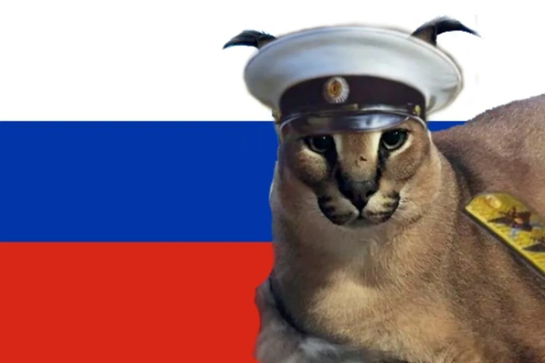 Чуть покруче. Кот с флагом России. Кот в форме белогвардейца. Кот военный. Шлепа с флагом России кот.