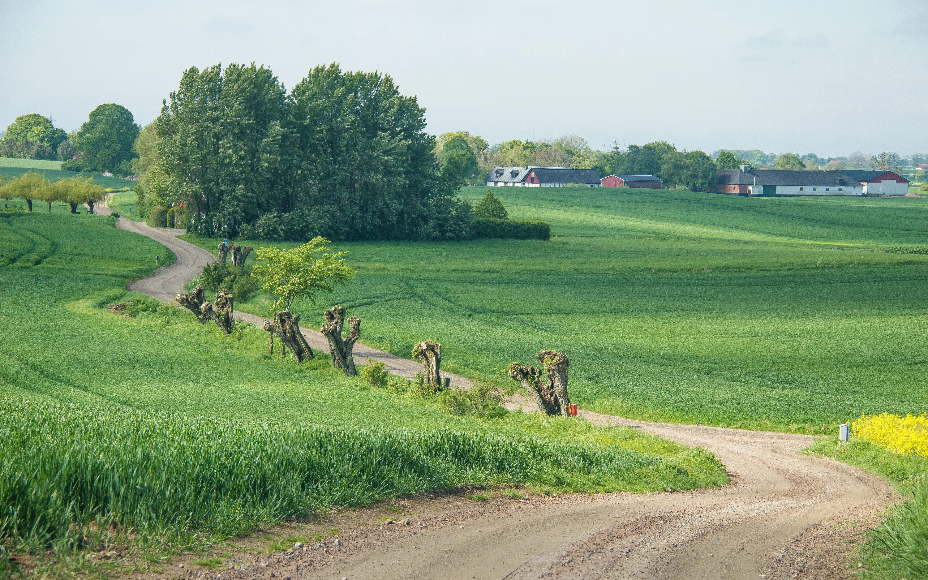 Сельская местность. Деревенская дорога. Сельская дорога в Англии. Проселочная дорога в Европе. Countryside канал