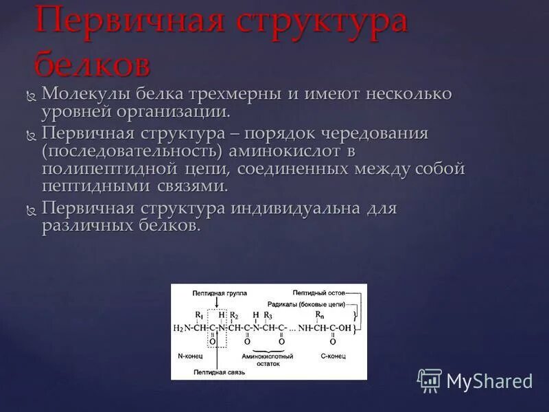 количество аминокислот в молекулах белков. порядок чередования аминокислот в белках. количество аминокислот в молекулах белков. общая структура α-аминокислот. количество аминокислот в молекулах белков.