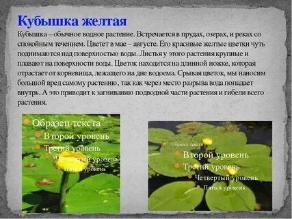 Почему кубышка стала недоступна
