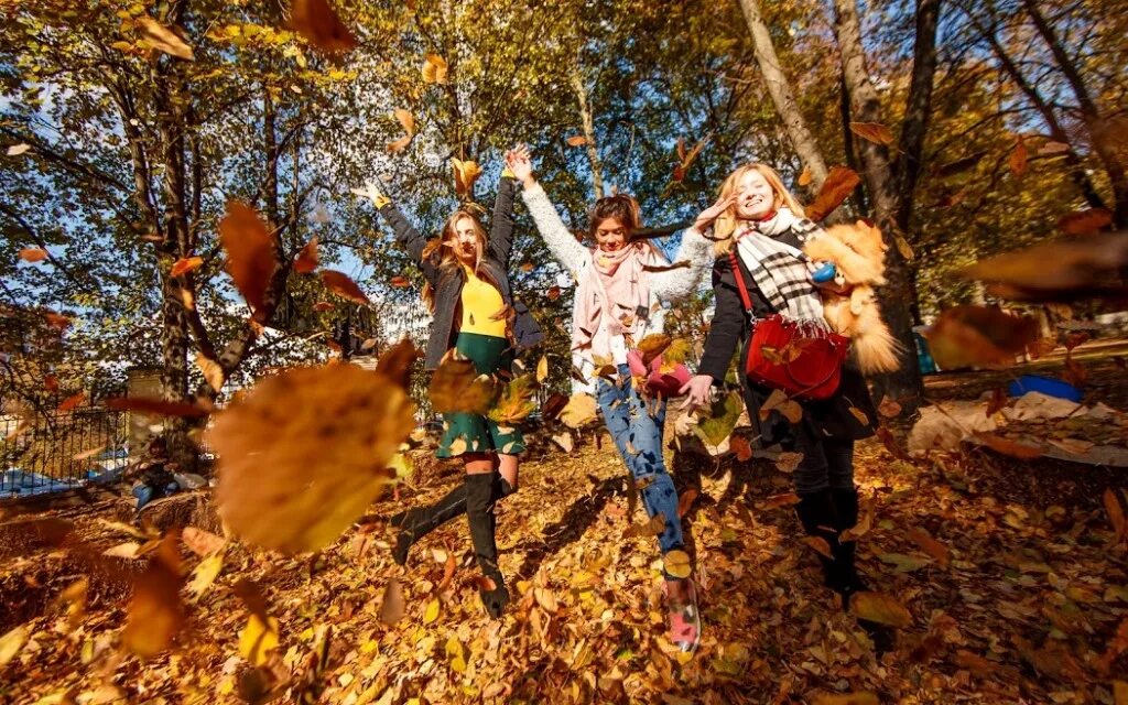 Развлечения осенью. Осенний листопад для детей. Развлечения осенью. Праздник осени на улице. Осень фотограф с фотоаппаратом.