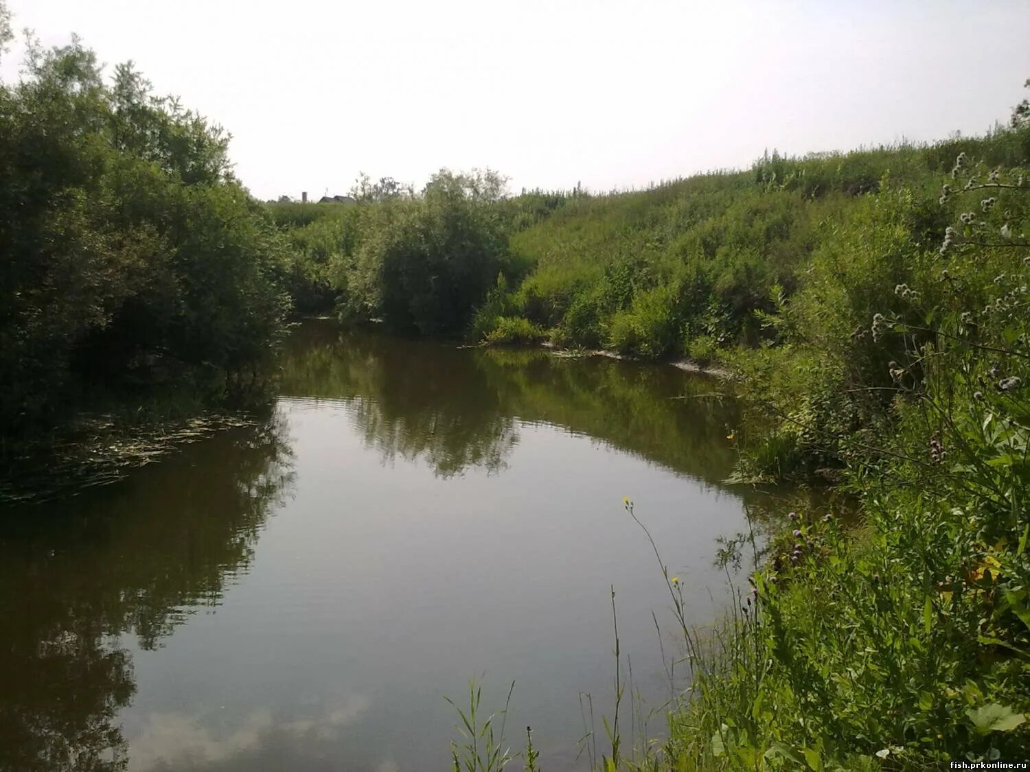 Приток ини. Приток ини. Река иня алтайский край краснощековский район. Река иня новосибирской области. Река иня ленинск кузнецкий.