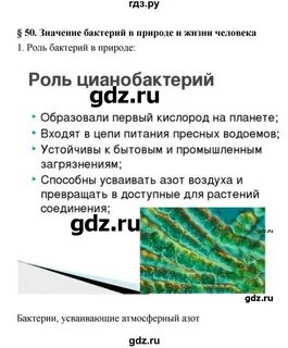 Биология 7 класс параграф 50 вопросы
