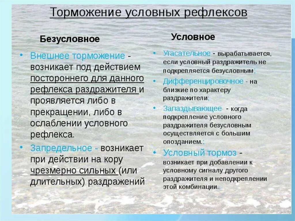 Какого значение рефлексов. Безусловное торможение условных рефлексов. Схема безусловного торможения условных рефлексов. Характеристика видов торможения условных рефлексов. Гипотезы объясняющие торможение условных рефлексов.