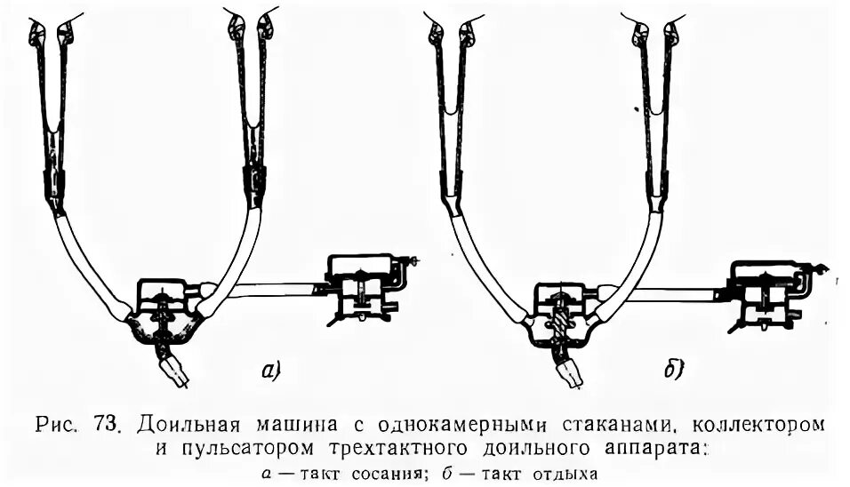 Схема работы двухтактного доильного аппарата. Двухтактный коллектор доильного аппарата аду-1. Доильный аппарат принцип работы схема. Такты доильного аппарата. Такты доильного аппарата.