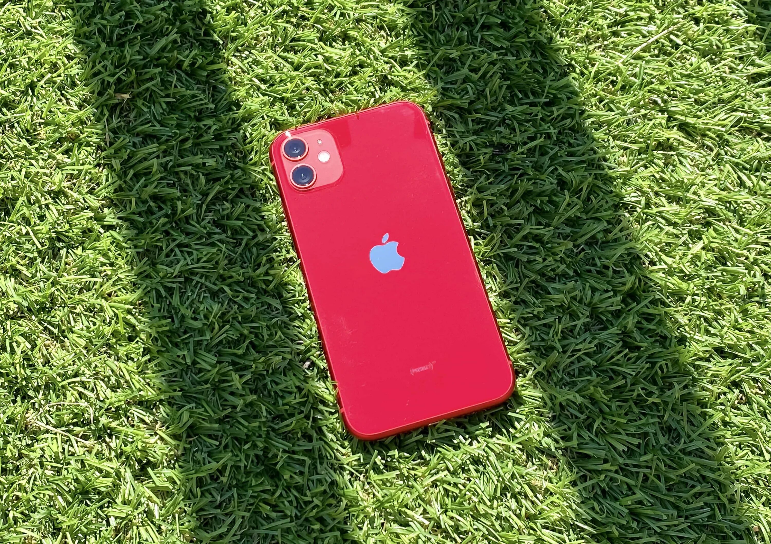 Iphone 11 max в рассрочку. Apple iphone 11 128 ГБ (product)Red. Iphone 11 Pro Red. Iphone 11 Pro красный. Iphone 11 Pro product Red.