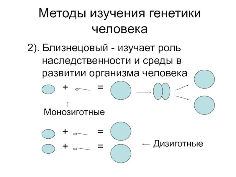 Генетические методы изучения человека. Близнецовый метод исследования человека. Методы близнецовый изучения наследственности у человека. Метод близнецов изучения наследственности человека. Близнецовый метод изучения наследственности человека кратко.