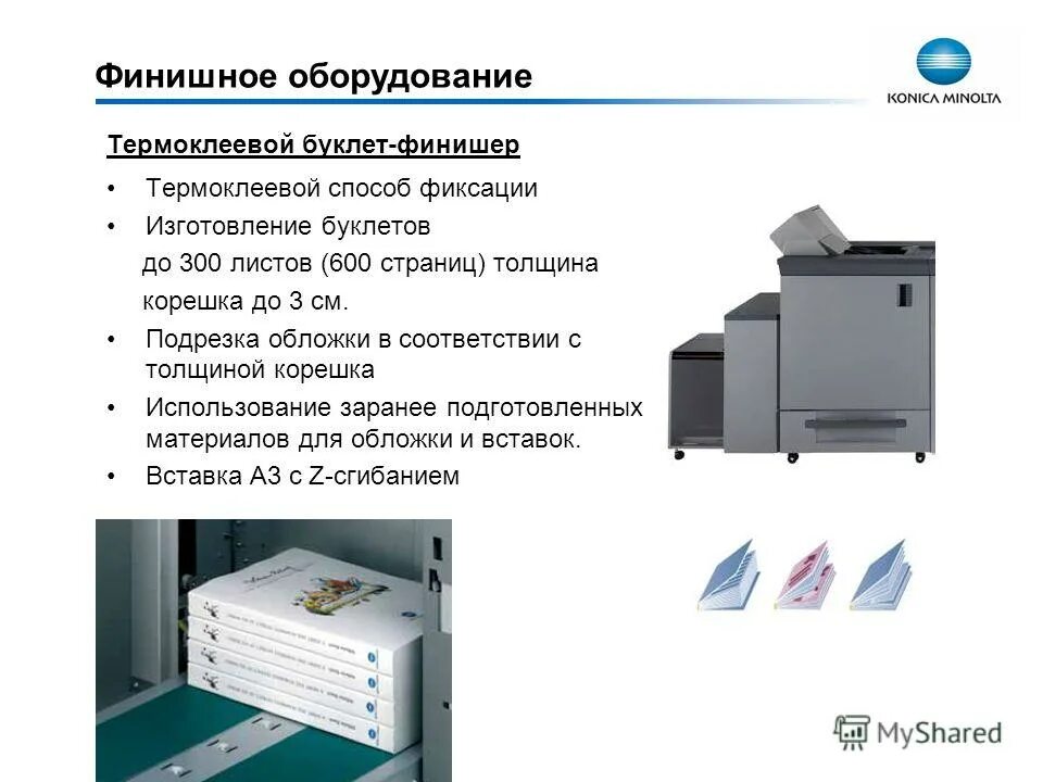 коника рубцовск