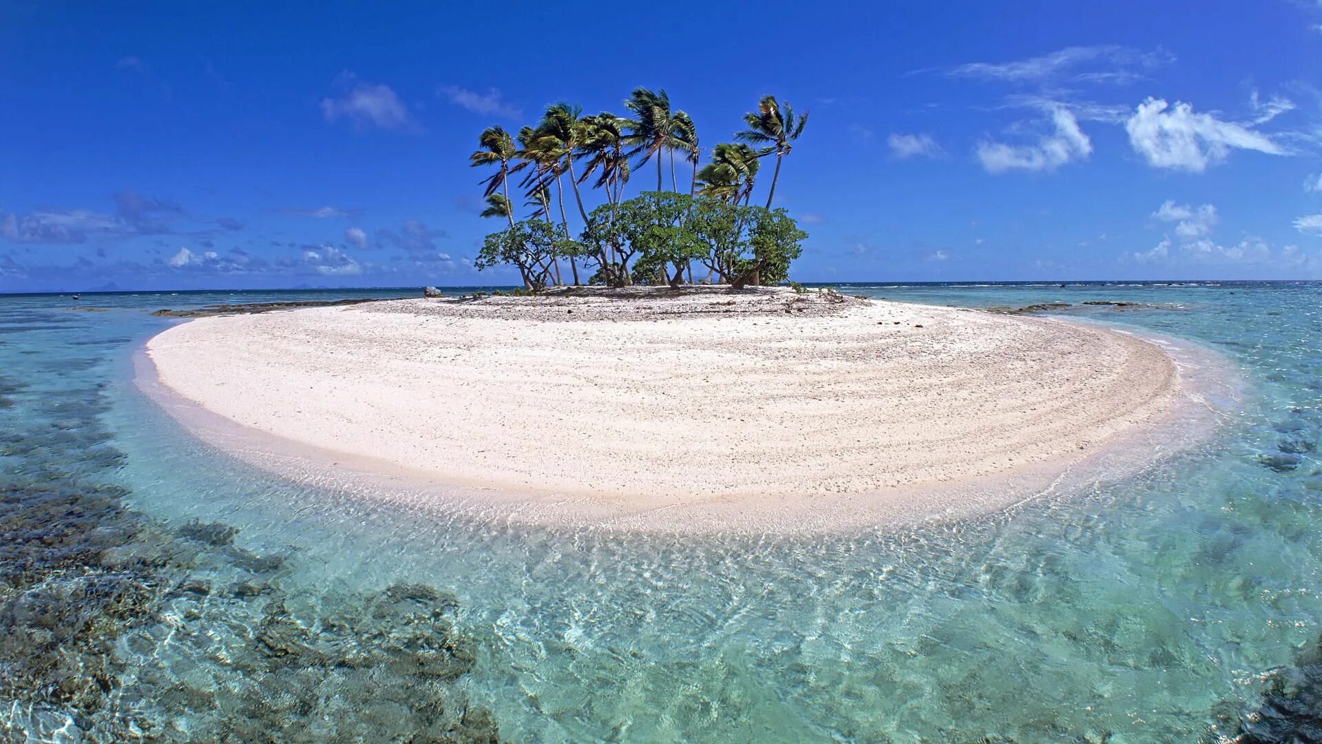 Ocean is beautiful. Каролинские острова Атолл. Атолл коралловый остров. Парадиз остров Карибского моря. Атоллы Микронезии.