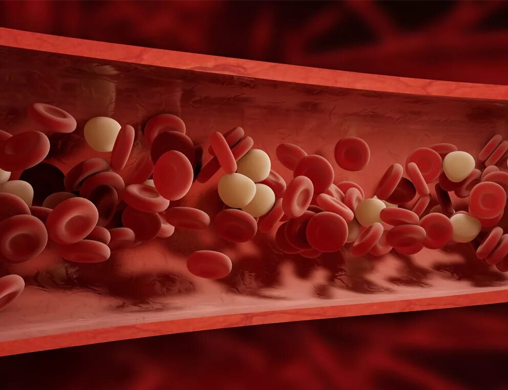 Густая кровь в организме. Молекула крови. Клетки крови.