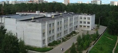 Дневник сосновый бор