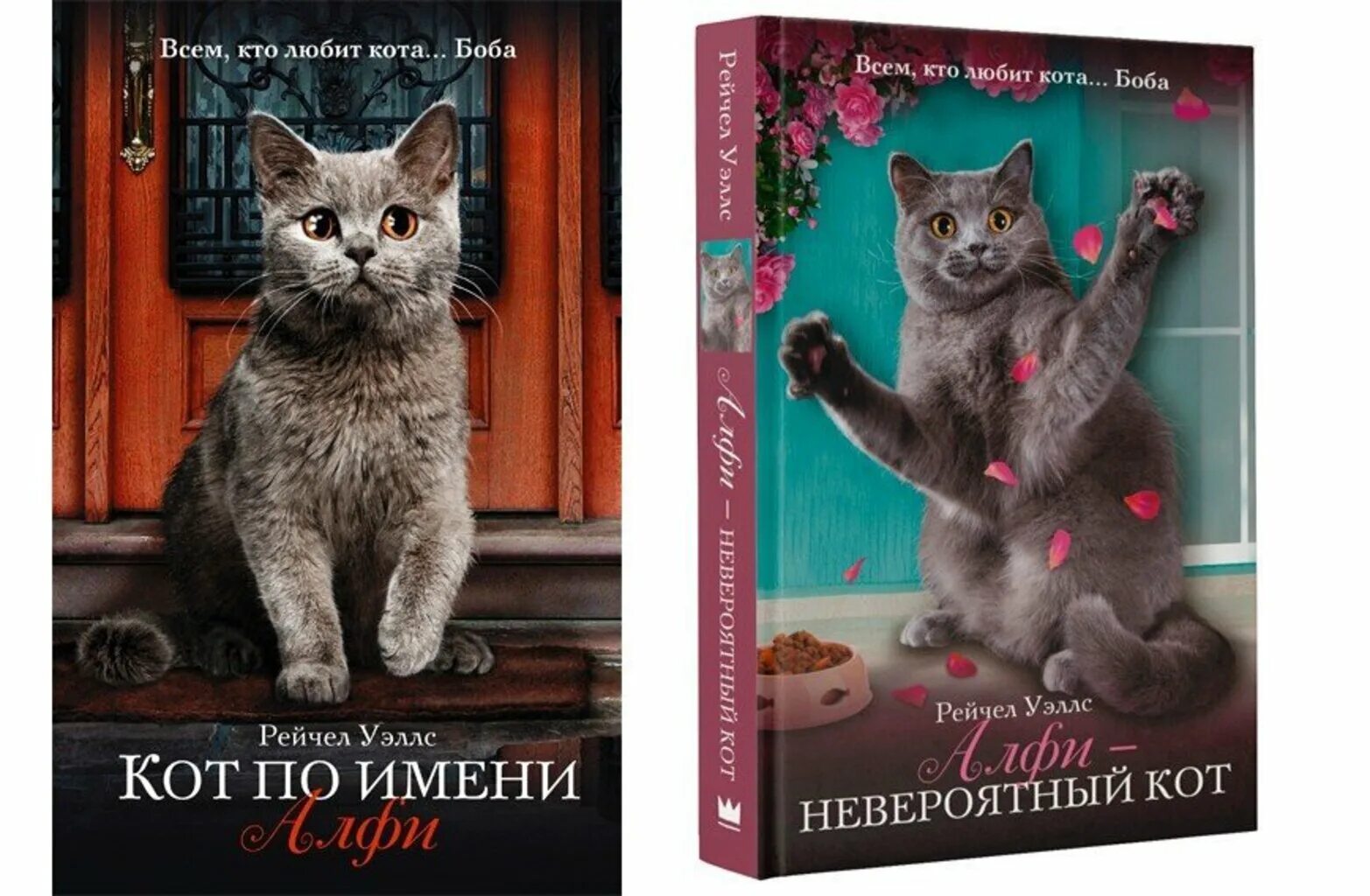 Книга про кота читать. Уэллс кот Алфи. Рэйчел Уэллс кот по имени Алфи. Уэллс Алфи невероятный кот. Книга кот Алфи.