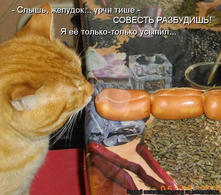 Смешная сосиска. А васька слушает да ест. Кот несет колбасу. Кот васька съел. Кот васька съел.