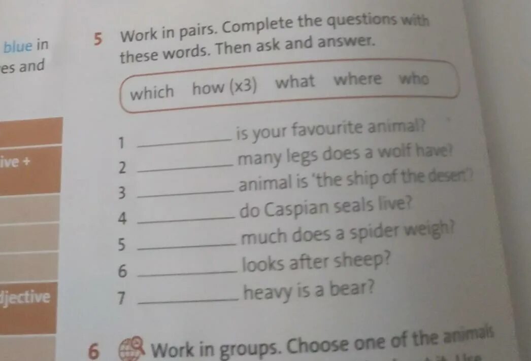 Answer the questions what your favourite. Complete the questions ответы. In pairs ask and answer английский. Work in pairs ask and answer the questions перевод. 1.A) work in pairs 5 класс английский.