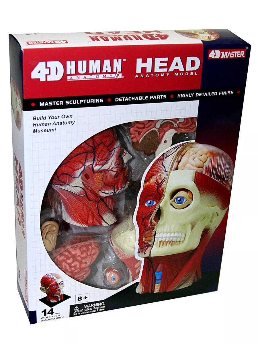 4d мастер акула. анатомический конструктор животные. игрушки исследователи животных. 4d master / пазл "анатомическая модель. анатомическая модель 4d master череп.