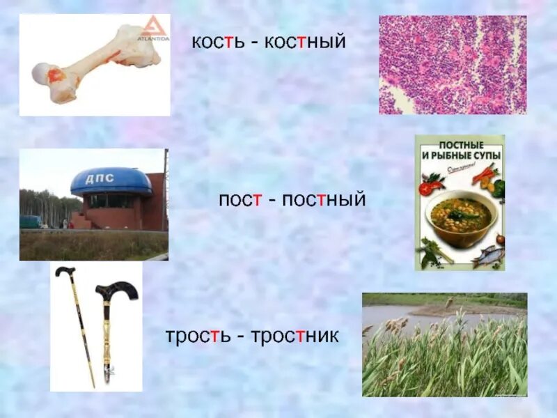 Костный проверочное слово