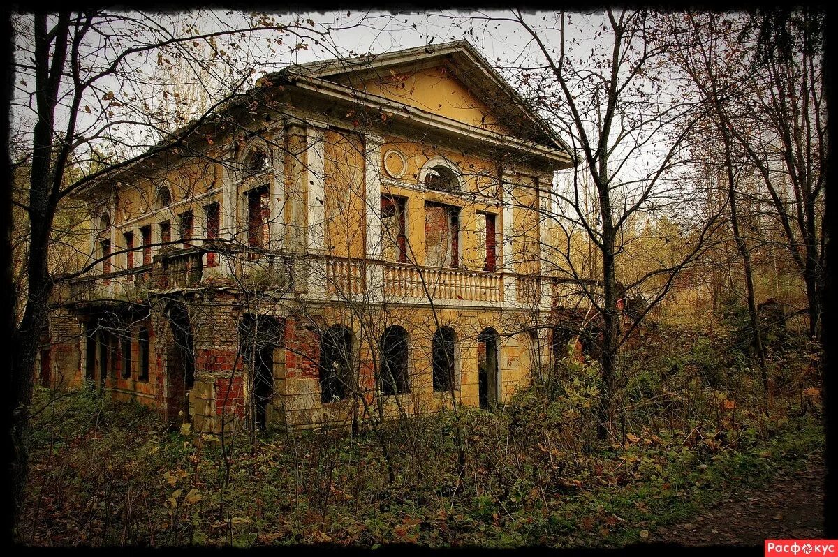 В усадьбе был старинный. Усадьба Лунево Солнечногорский район. Усадьба Лунево Базилевское. Усадьба графа Мартынова Лунево. Заброшенная усадьба в поселке Лунево.