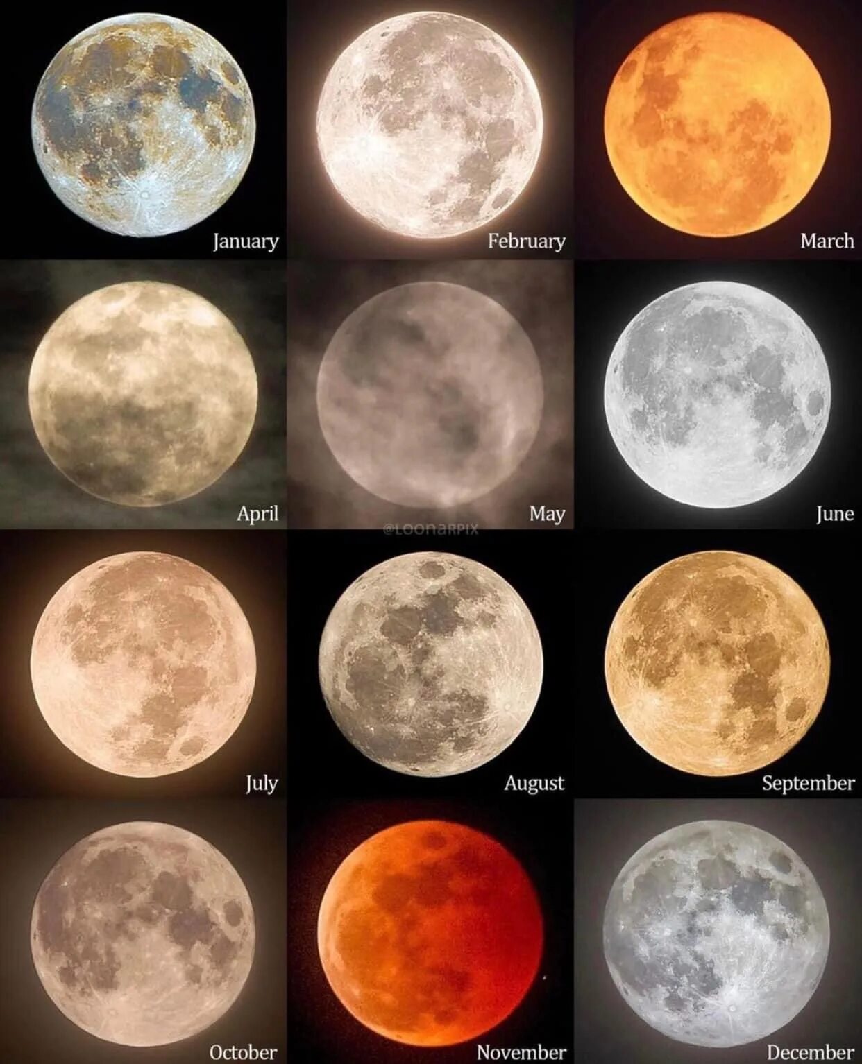 Апрель луна 2023 год. Полнолуние 2022. Полнолуние в апреле 2023 года. Полнолуния в 2023 году. Луна в декабре 2022.
