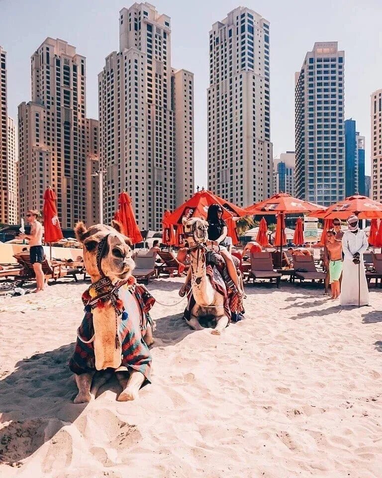 Эмираты горящий тур. Путешествие в оаэ. Тур в арабские эмираты. Эмираты фотоколлаж. Диана дубай.