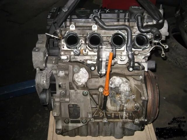 Куплю двигатель шкода а5. Навесное на двигатель на Skoda Octavia 1.6.